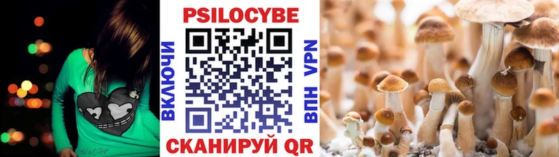 нарко площадка Telegram  купить  цена  Алагир  Галлюциногенные грибы прущие грибы 